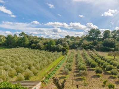 Villa Sabor De Cas Ferrer - Outdoor photo 37