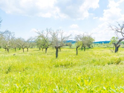 Chalet Casa Holganza - Environment photo 31