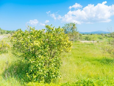 Chalet Casa Holganza - Environment photo 32