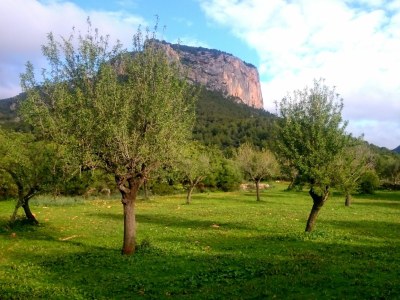 Chalet Ca Na Carme (Alaronera) - Environment photo 29