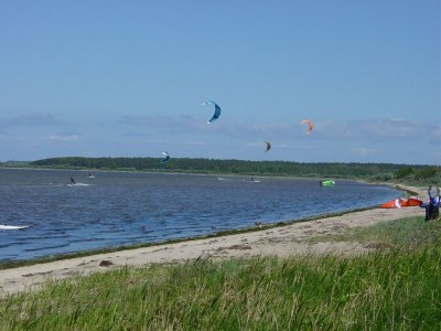 Holiday house Ferienhaus in Neubukow mit Terrasse - Outdoor photo 9