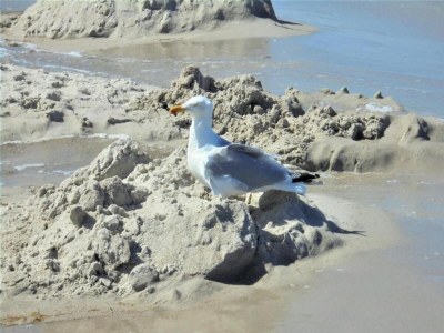 Holiday house Ferienhaus in Neubukow mit Terrasse - Environment photo 29
