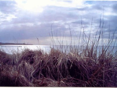 Holiday house Ferienhaus in Neubukow mit Terrasse - Environment photo 30