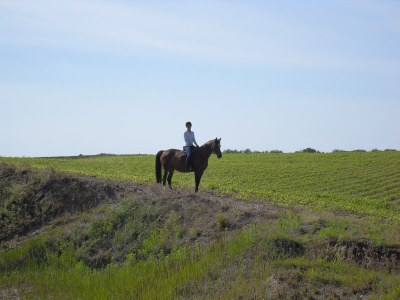 Holiday house Ferienhaus nahe Ostseeküste und Wald - Environment photo 28