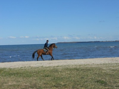Holiday house Ferienhaus nahe Ostseeküste und Wald - Environment photo 29