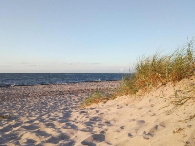 Holiday house Ferienhaus nahe Ostseeküste und Wald - Environment photo 33