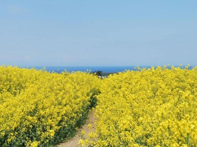 Holiday house Ferienhaus nahe Ostseeküste und Wald - Environment photo 34