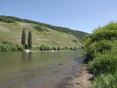 Holiday apartment - No title - - Environment photo 26