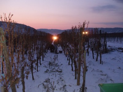 Holiday apartment - No title - - Environment photo 29