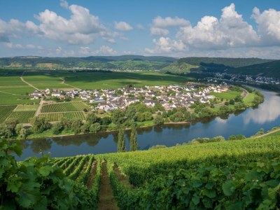 Holiday apartment - No title - - Environment photo 31