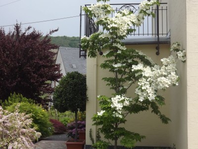 Holiday apartment - No title - - Environment photo 34