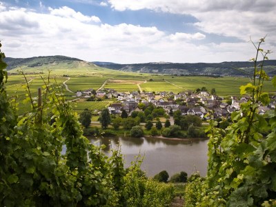 Holiday apartment - No title - - Outdoor photo 8