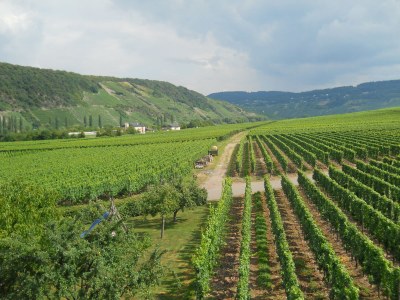 Apartment - No title - - Environment photo 17