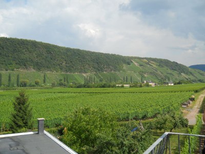 Apartment - No title - - Environment photo 22