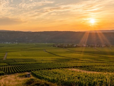 Apartment - No title - - Environment photo 23