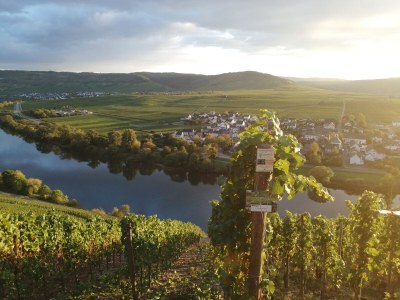 Apartment - No title - - Environment photo 24