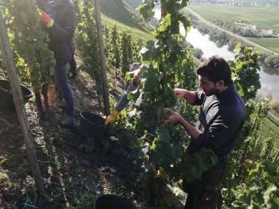 Apartment - No title - - Environment photo 25