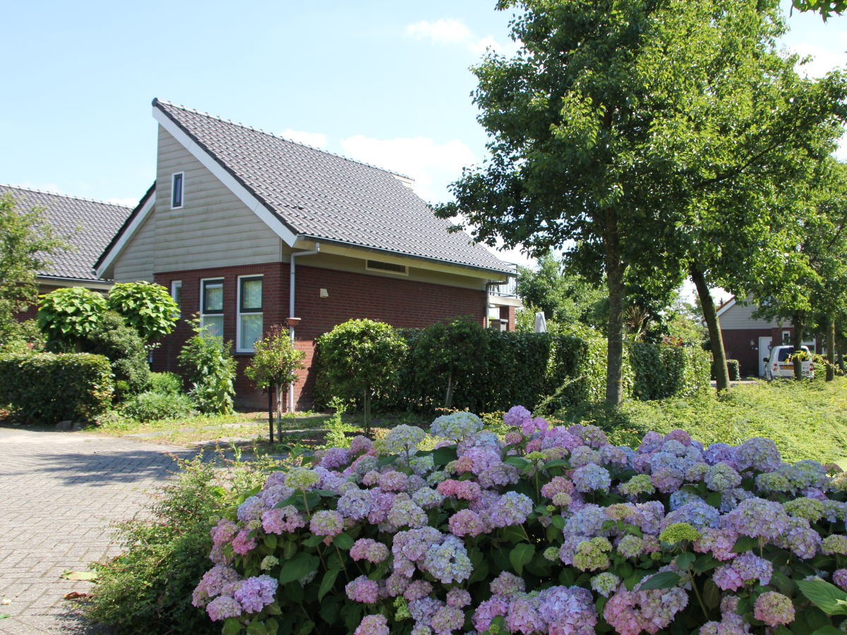 Holiday house Wijde Aa 6 Modern - Outdoor photo 3