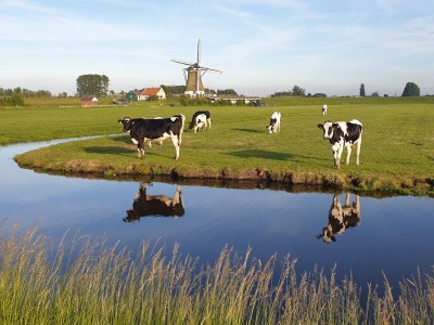 Holiday house Wijde Aa 6 Modern - Environment photo 21