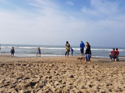 Holiday house Wijde Aa 6 Modern - Environment photo 28