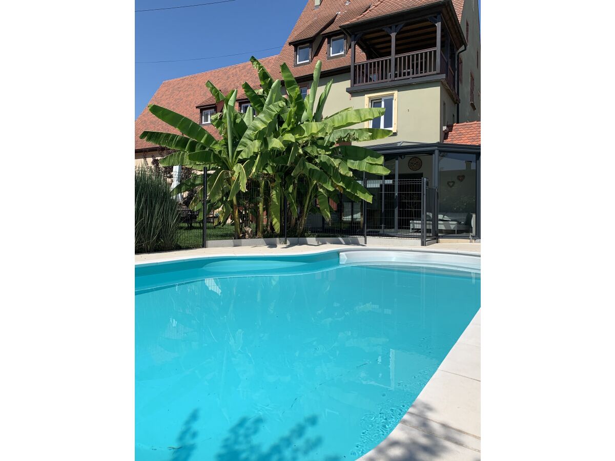 Holiday apartment Lichtenberger - Outdoor photo 2