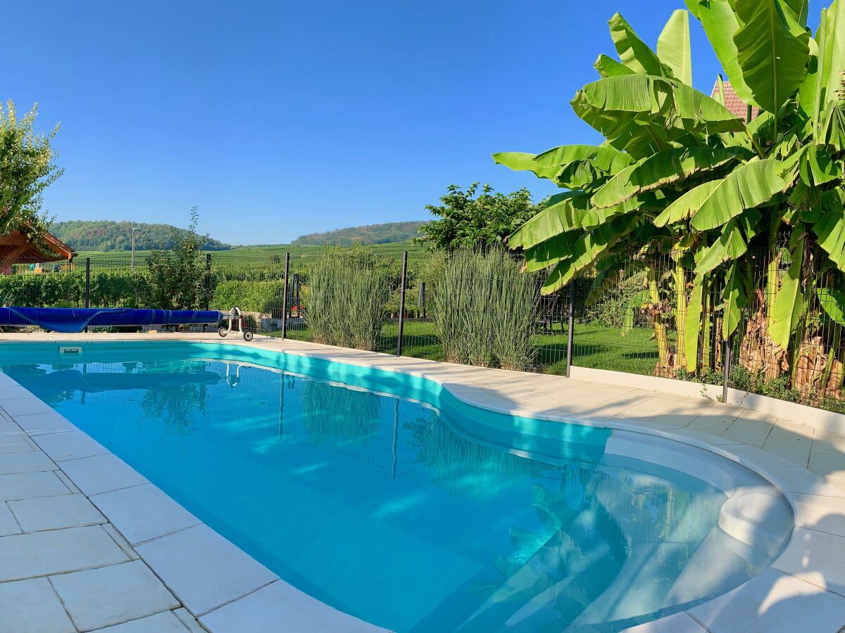 Holiday apartment Lichtenberger - Outdoor photo 3