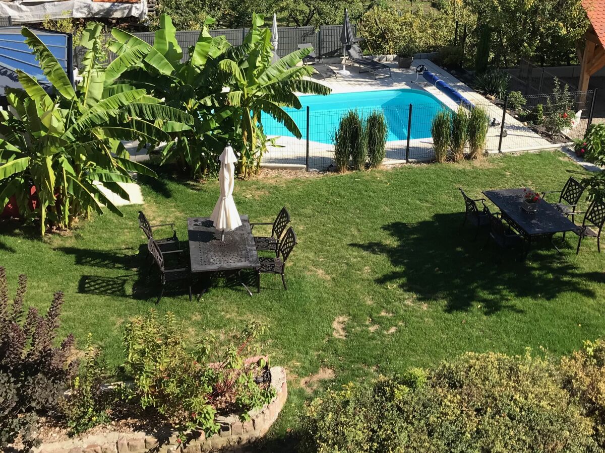 Holiday apartment Lichtenberger - Outdoor photo 5