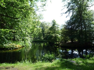 Holiday house Wohnung Bergen aan Zee am Strand - Environment photo 35