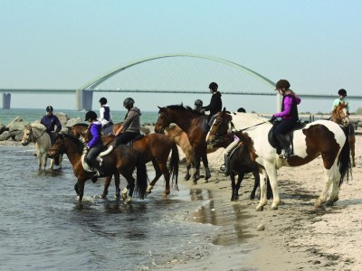 Holiday apartment Am Schwimmbad F997 - Environment photo 12