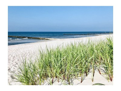 Holiday apartment Storchensuite - Document photo 19