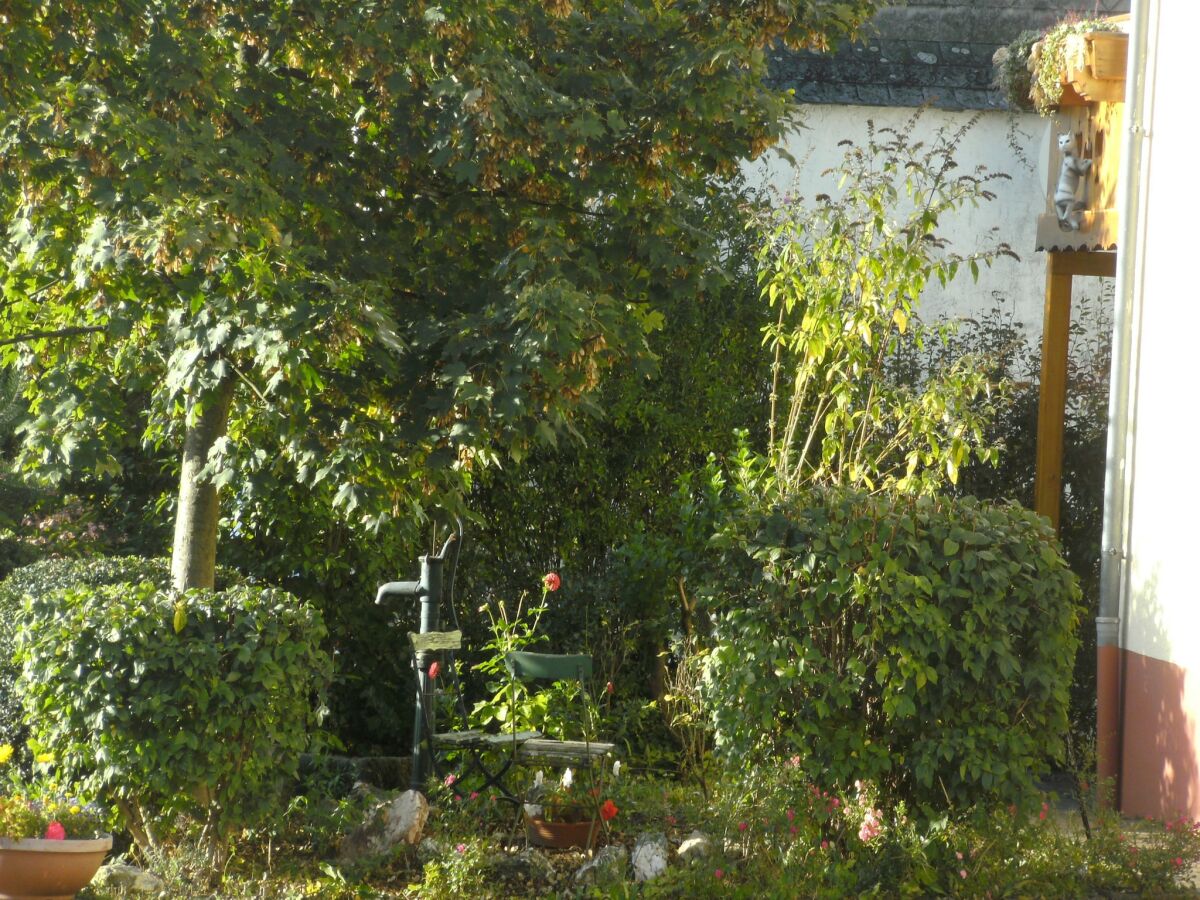 Apartment Gemütlicher Kurzurlaub in Morbach - Outdoor photo 5