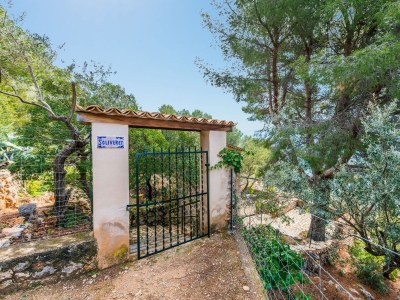 Chalet S'Olivaret (Fornalutx) - Outdoor photo 7