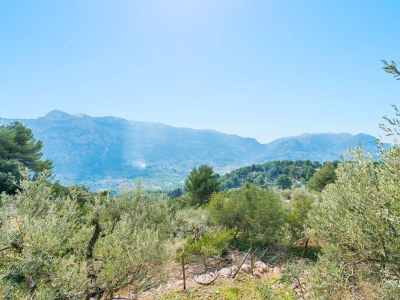 Chalet S'Olivaret (Fornalutx) - Environment photo 21