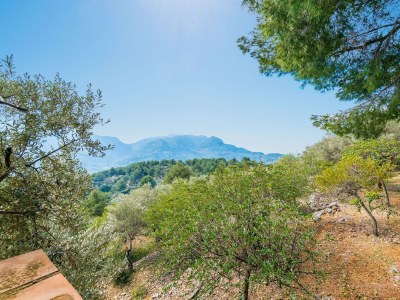 Chalet S'Olivaret (Fornalutx) - Environment photo 22