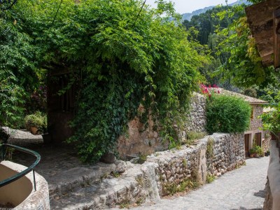 Chalet S'Olivaret (Fornalutx) - Environment photo 23