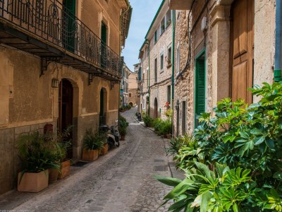 Chalet S'Olivaret (Fornalutx) - Environment photo 24