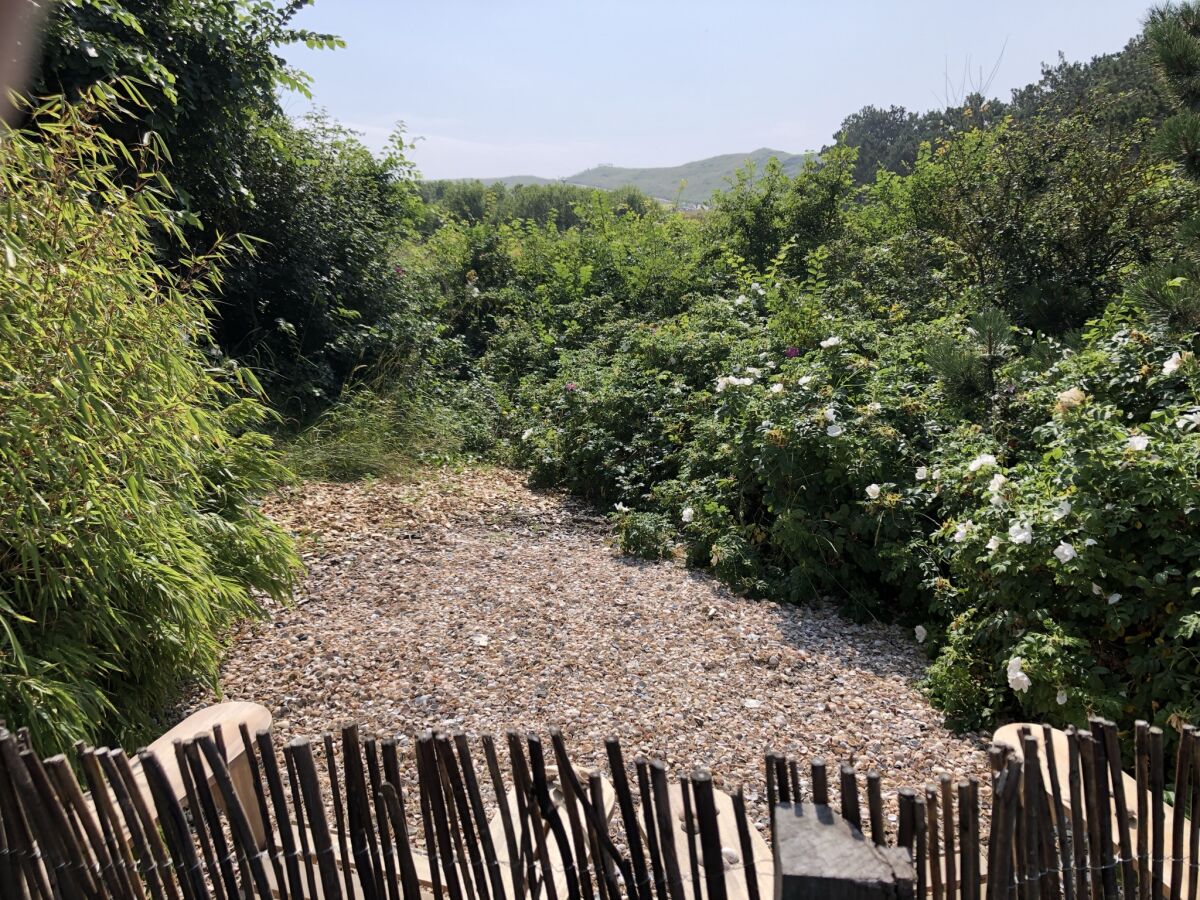 Apartment ZeeLeven - Outdoor photo 5