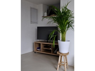 Apartment ZeeLeven - Features photo 11
