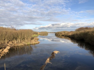 Apartment ZeeLeven - Environment photo 26