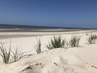 Apartment ZeeLeven - Environment photo 27