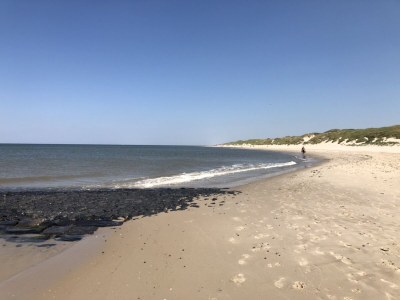 Apartment ZeeLeven - Environment photo 30