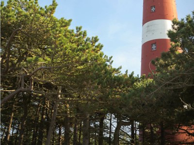 Holiday house Friese Antillen - Environment photo 24