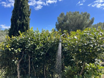 Villa Rosa dei Venti - Outdoor photo 8