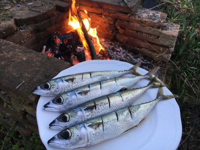 Villa Rosa dei Venti - Outdoor photo 13