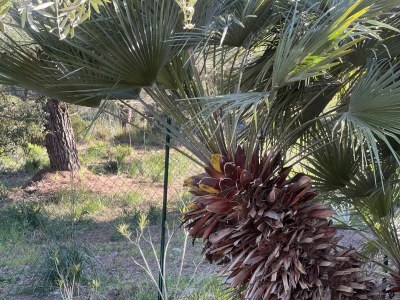 Villa Rosa dei Venti - Outdoor photo 16