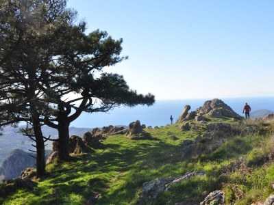 Villa Rosa dei Venti - Environment photo 35