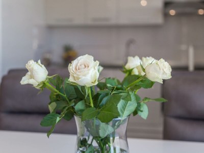 Holiday apartment Silver Suite - Features photo 16