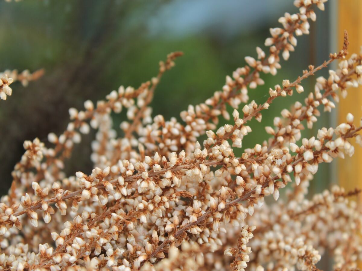 Apartment Wohnung in Zarnewanz nahe Ostsee - Outdoor photo 4