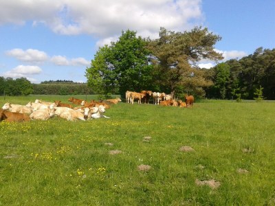 Apartment Wohnung in Zarnewanz nahe Ostsee - Outdoor photo 3