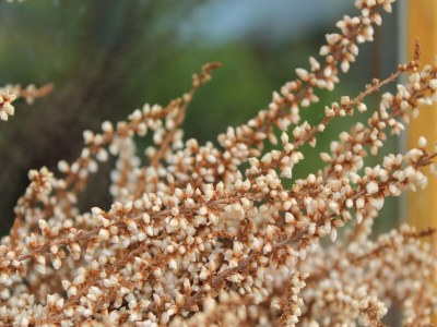 Apartment Wohnung in Zarnewanz nahe Ostsee - Outdoor photo 4